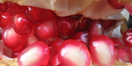 Rosso d''autunno